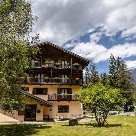 Alpine Forest Hotel Чамполук Екстериор снимка