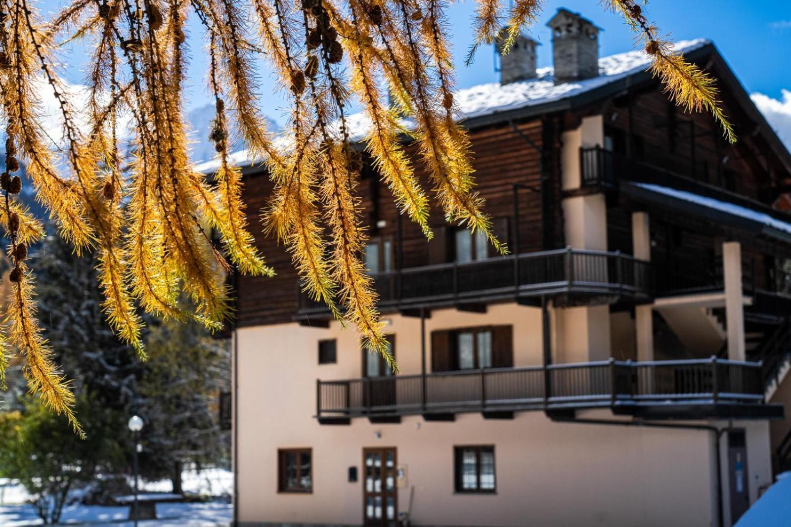 Alpine Forest Hotel Чамполук Екстериор снимка