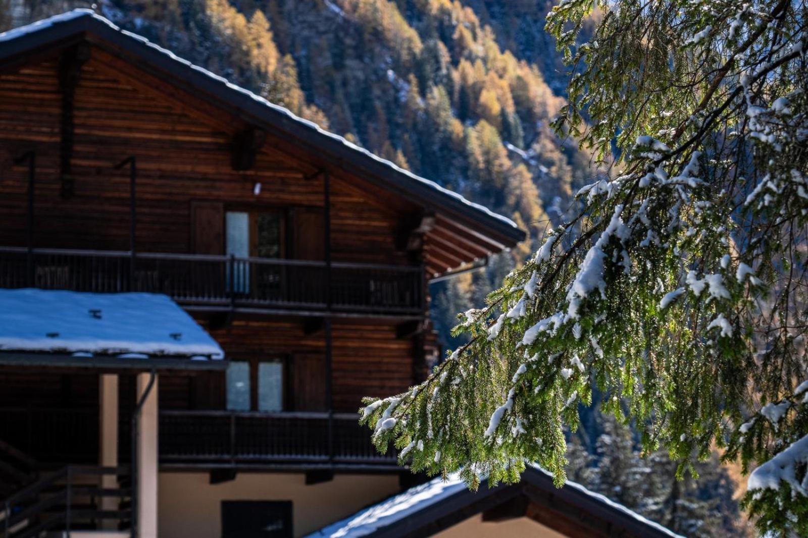 Alpine Forest Hotel Чамполук Екстериор снимка
