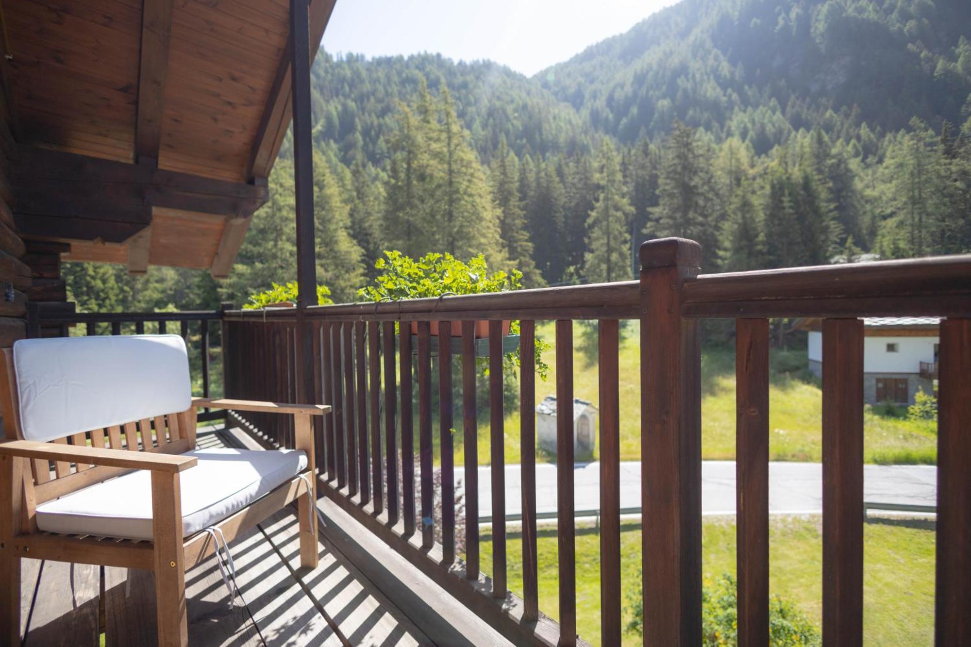 Alpine Forest Hotel Чамполук Екстериор снимка
